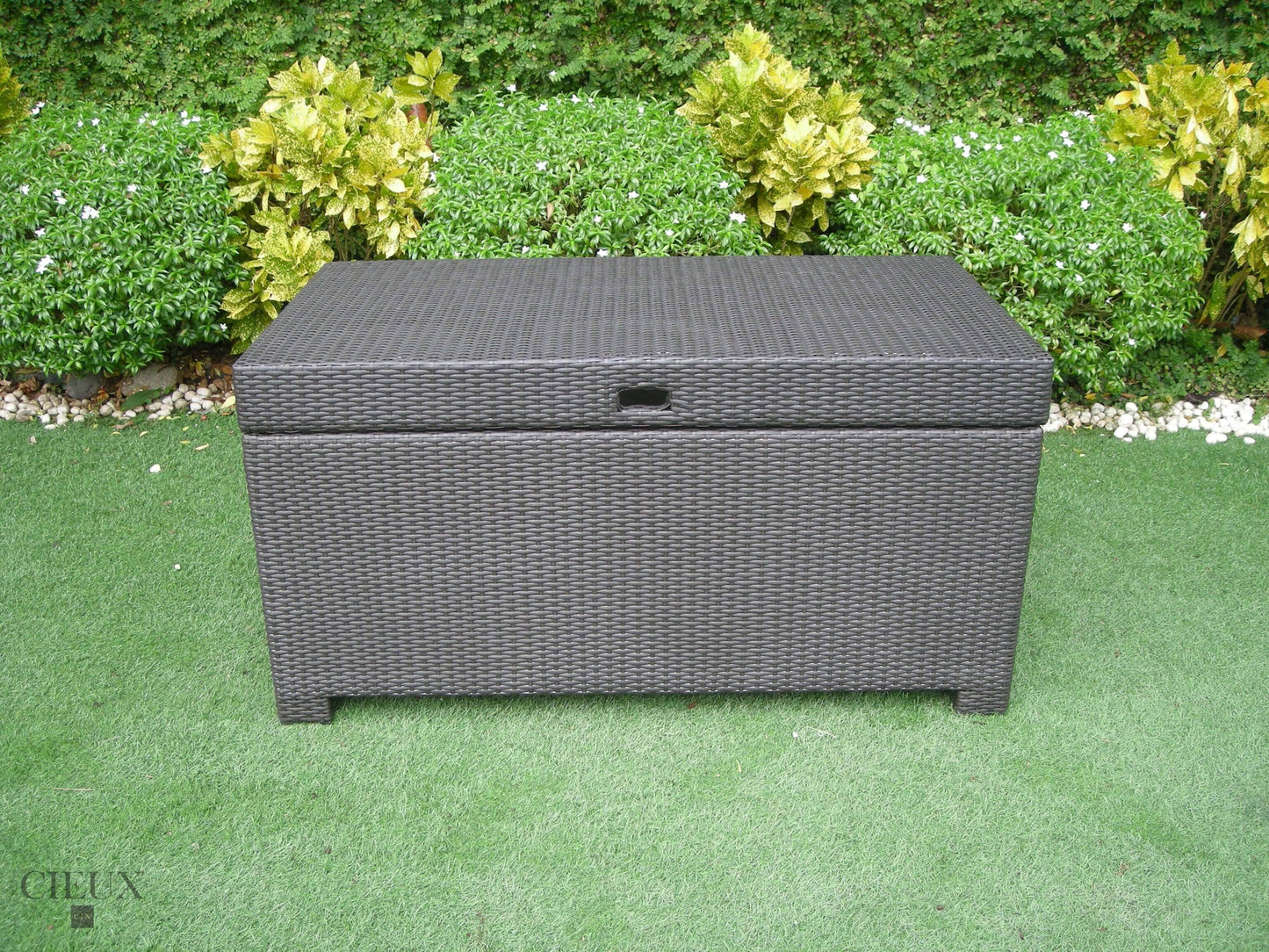 CIEUX Accessories Provence Dark Chocolate Storage Trunk