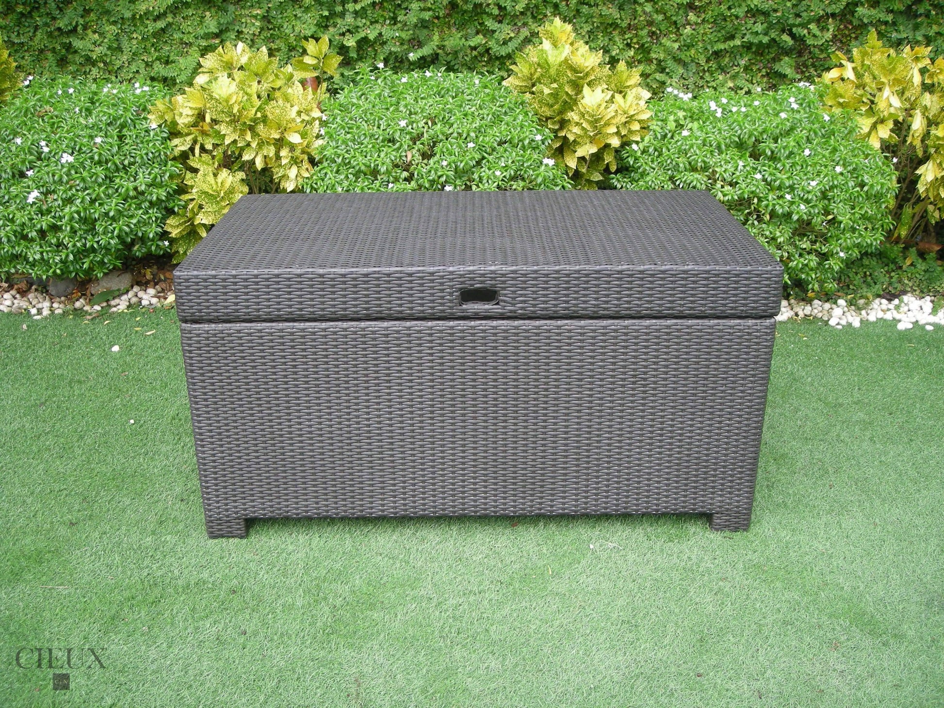 CIEUX Accessories Provence Dark Chocolate Storage Trunk