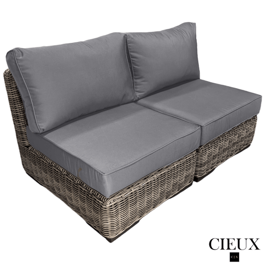 CIEUX Loveseat Champagne Outdoor Patio Wicker Modular Armless Loveseat in Grey with Canvas Charcoal Sunbrella Cushions